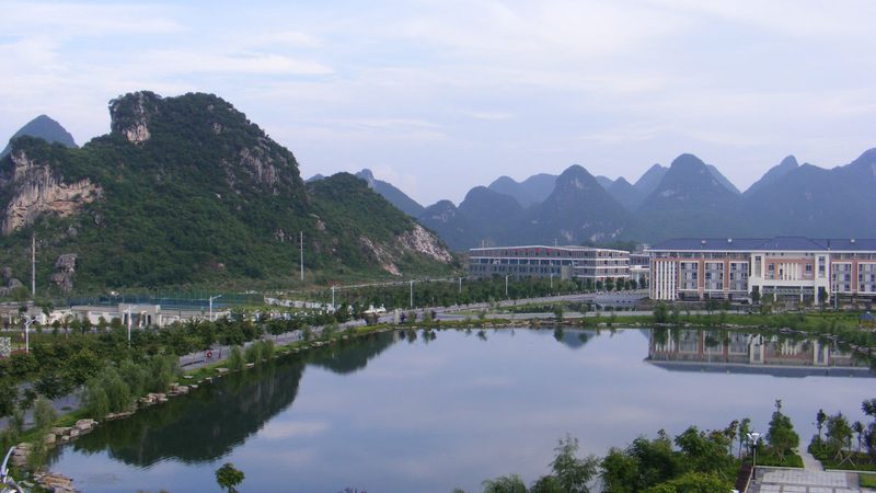 远程调试适配器：型号与材质的选择要点**