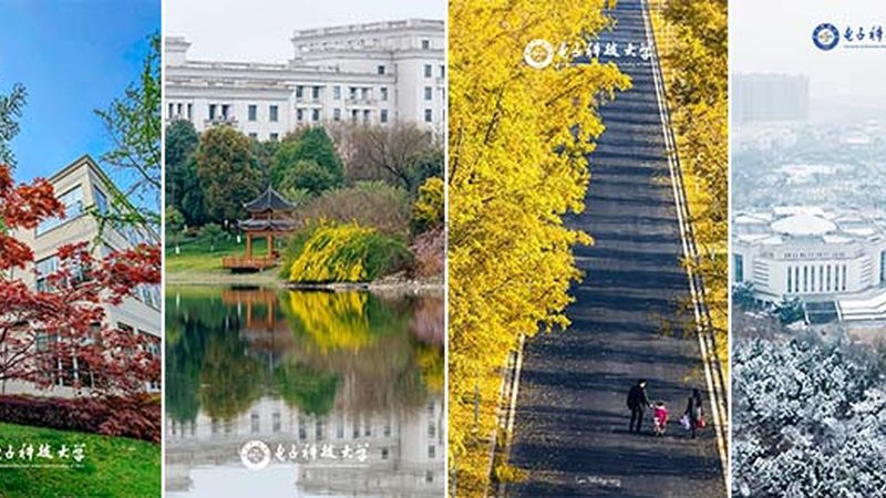 电子产品选型采购，如何避免陷入误区？**